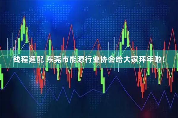 钱程速配 东莞市能源行业协会给大家拜年啦！